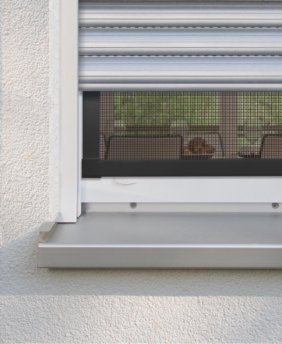 InsektenschutzFenster PLUS, 100 x 120 cm, anthrazit SCHELLENBERG InsektenschutzFenster PLUS, 100 x 120 cm, anthrazit SCHELLENBERG