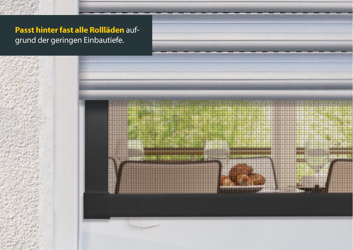 Insektenschutz-Fenster PLUS, 100 x 120 cm, anthrazit