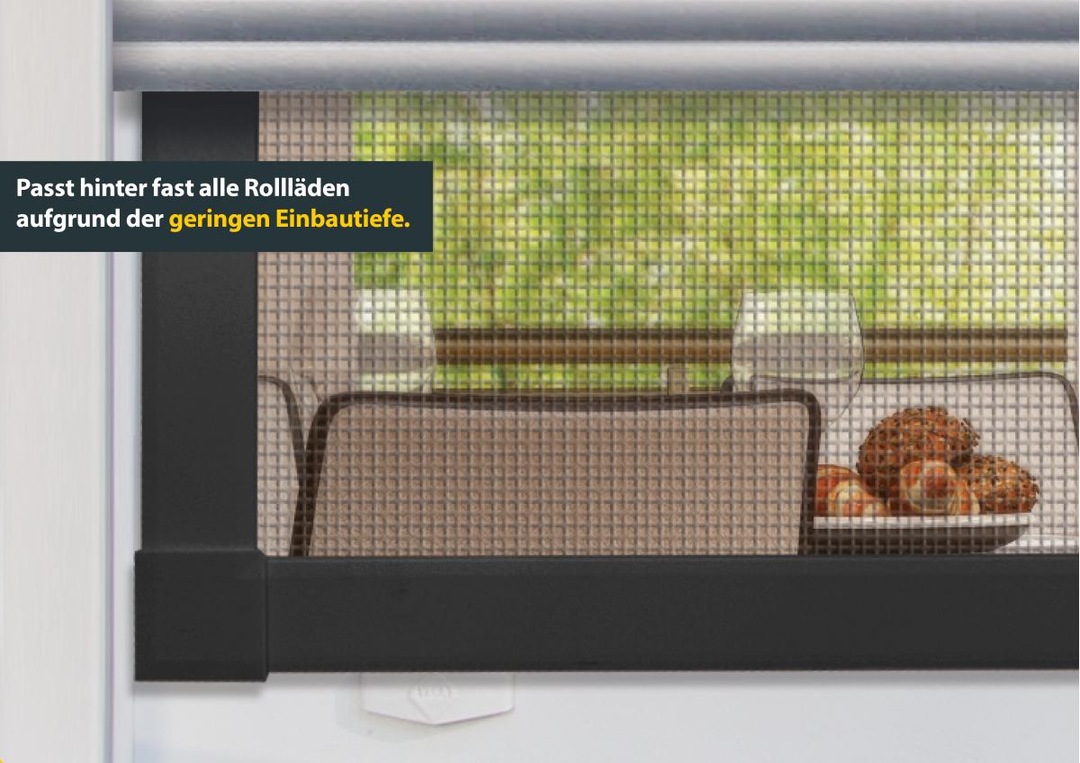 Insektenschutz-Fenster PREMIUM, max. 100 x 120 cm, anthrazit