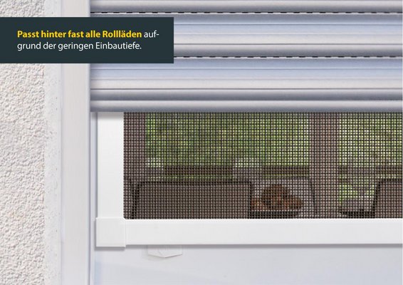 Schellenberg Insektenschutz-Fenster Premium, weiß, 100x120 cm bei Marktkauf  online bestellen