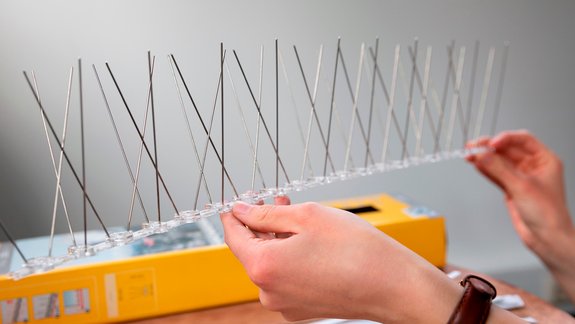 Schellenberg Taubenabwehr Spikes- Header