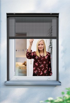 Fenster, anthrazit 160 cm, SCHELLENBERG x Insektenschutz-Rollo | für 160