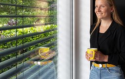 Insektenschutz für Fenster und Türen | SCHELLENBERG