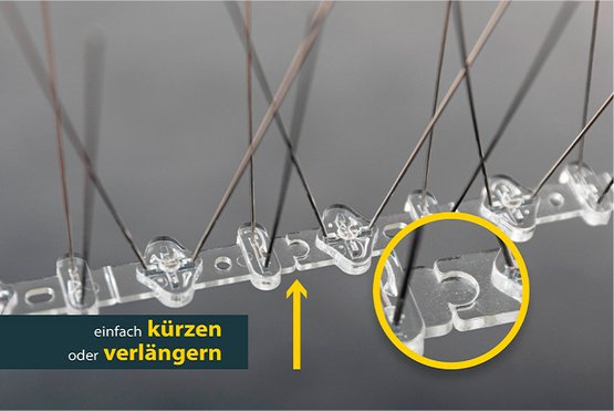 Schellenberg Taubenabwehr Spikes- Schritt 3